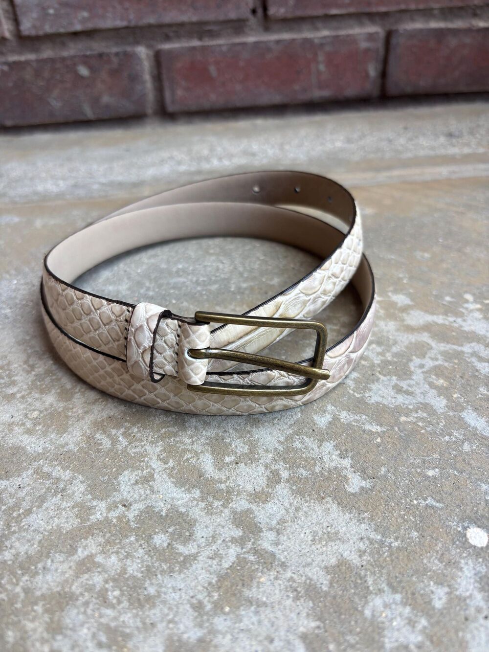 Casual Corner Leather  Snake Embossed Belt